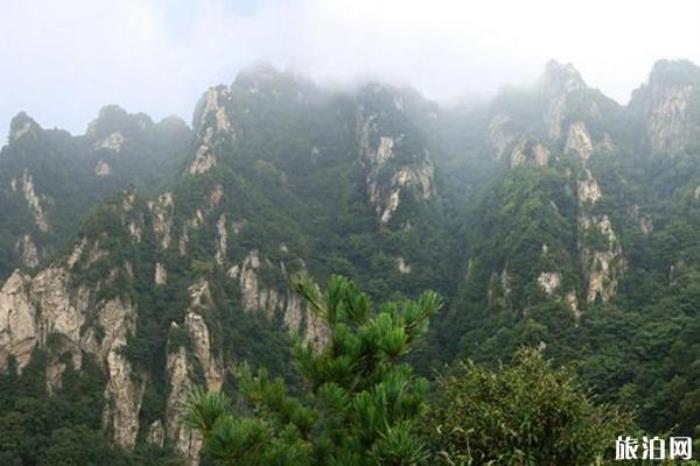 王順山國(guó)家森林公園