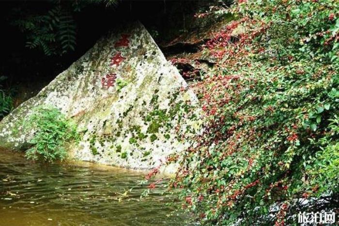 王順山國(guó)家森林公園 王順山國(guó)家森林公園