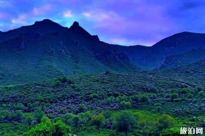 吐魯溝國(guó)家森林公園