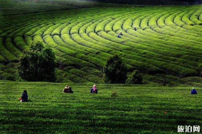 江西鳳凰溝風(fēng)景區(qū) 江西鳳凰溝風(fēng)景區(qū)