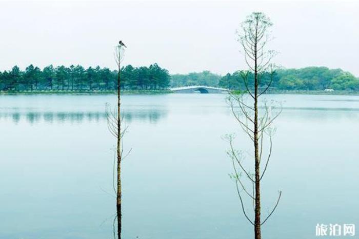 江西鳳凰溝風(fēng)景區(qū) 江西鳳凰溝風(fēng)景區(qū)