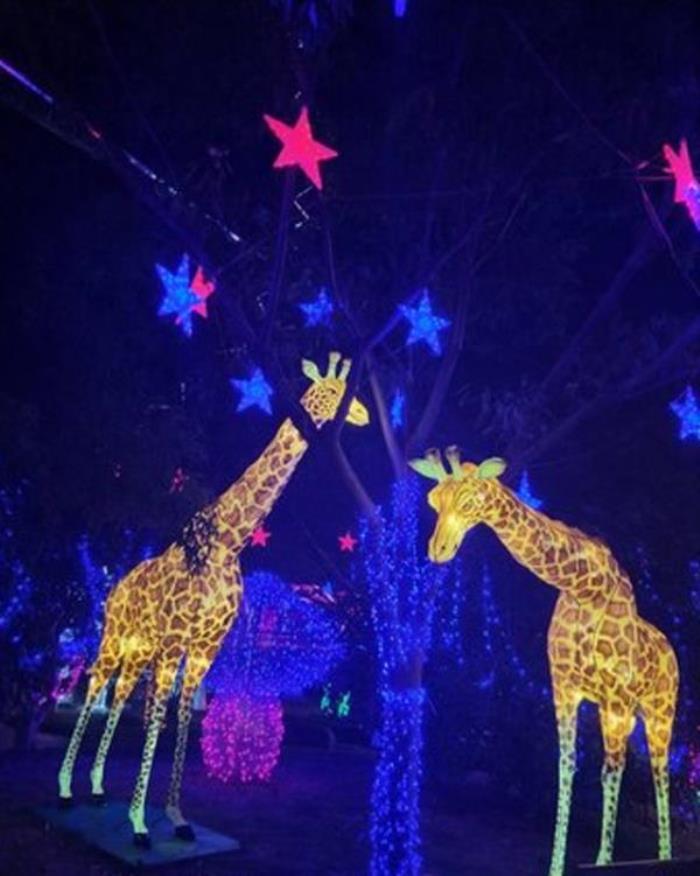 上海錦江樂(lè)園 上海錦江樂(lè)園