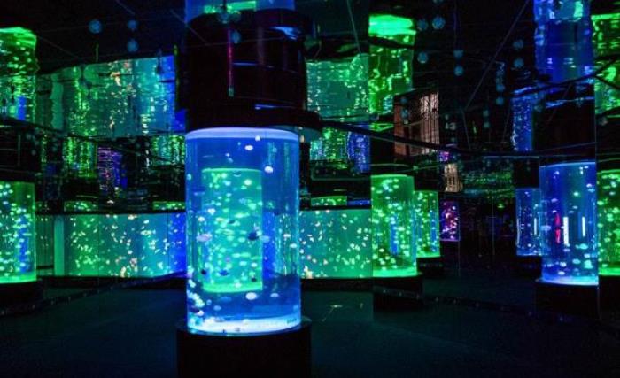 正佳極地海洋世界 正佳極地海洋世界