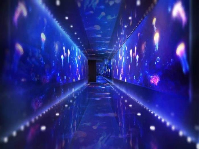 正佳極地海洋世界 正佳極地海洋世界