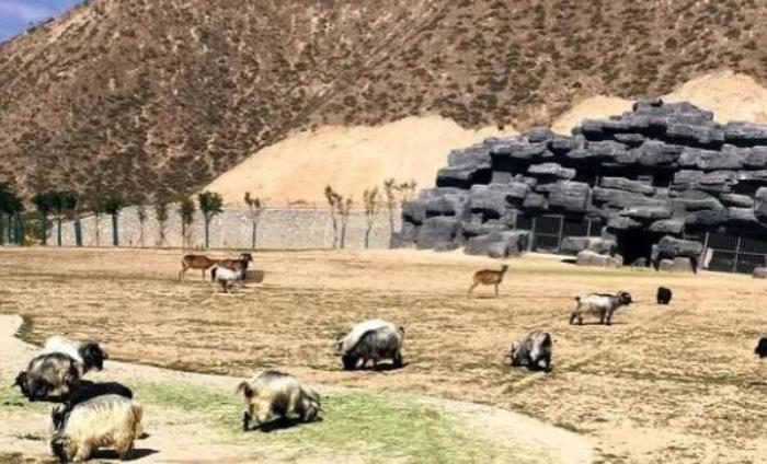 蘭州野生動物園