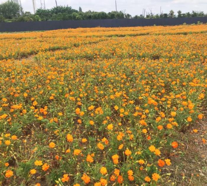 寧波-梁祝文化公園 寧波-梁祝文化公園