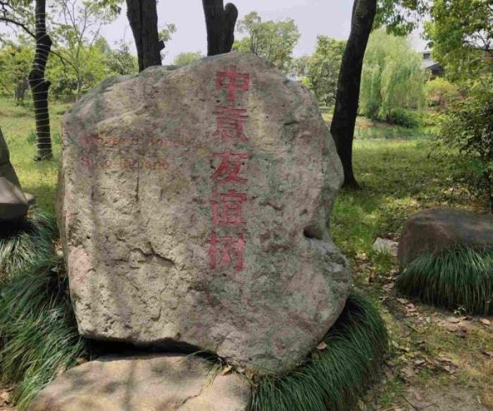 寧波-梁祝文化公園 寧波-梁祝文化公園