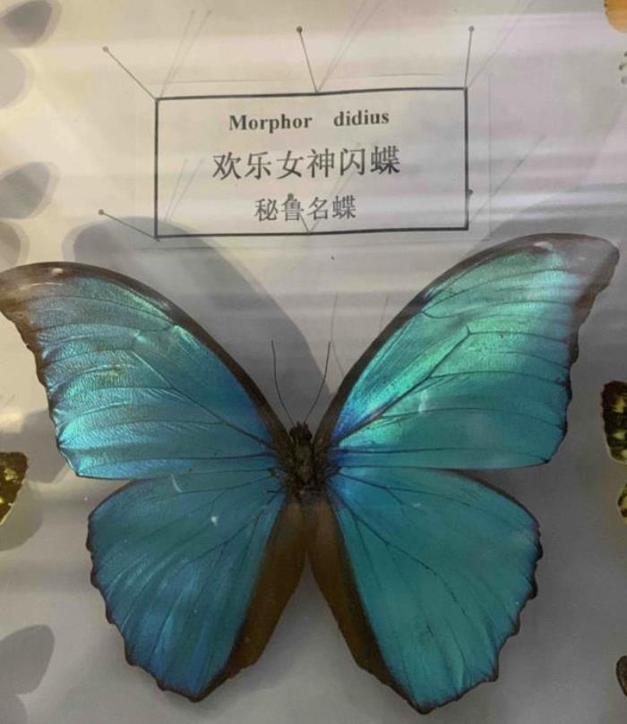 寧波-梁祝文化公園 寧波-梁祝文化公園