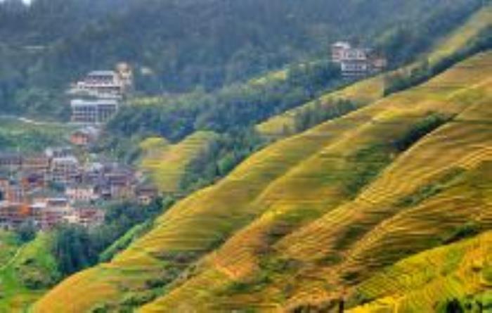 金佛頂觀景點(diǎn)廣西景點(diǎn)