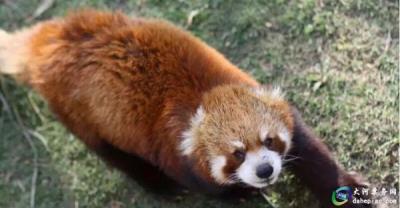 泉州海絲野生動物世界