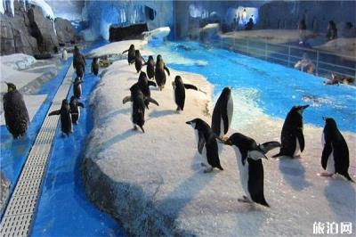 成都海昌極地海洋世界