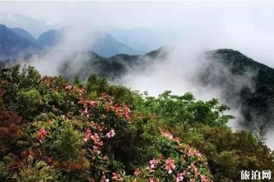 廣西貓兒山景區(qū)