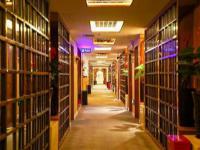 【孫婷】做商務(wù)伴游要先交錢嗎，明星商務(wù)分享模特訪夢(mèng)