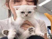 霸州伴游服務(wù)實(shí)習(xí)空姐區(qū)友易