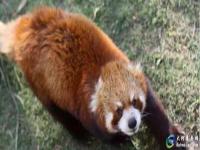 泉州海絲野生動物世界