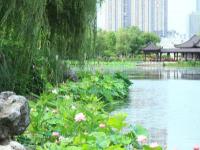 武漢沙湖公園門(mén)票多少錢(qián)