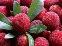 楊梅怎么洗比較干凈