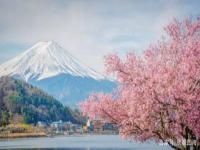 中國小伙在日本大賺特賺，感嘆日本伴游服務(wù)質(zhì)量高