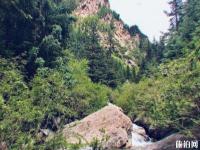 焉支山森林公園