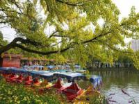 去昆明，邂逅寒冷冬日的春暖花開