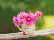 很順眼的女頭超級的洋氣且又溫柔 好看又低