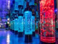 海立方海洋樂園吉林景點(diǎn)