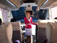 約寶寶商務(wù)伴游市場，開啟線上網(wǎng)約的新篇章服務(wù)