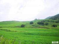 吐魯溝國(guó)家森林公園