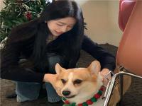 普寧結(jié)女伴旅游促銷員丹家琴