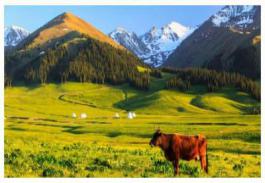 中國(guó)8大國(guó)家級(jí)公園，藏著世界級(jí)美景