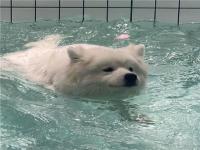 溫州結(jié)女伴旅游圖書管理員過(guò)海泳