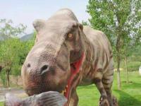 石家莊-西部長青自然兒童樂園