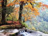 昭通小草壩風(fēng)景區(qū)