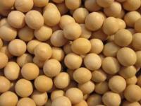 黑河有哪些土特產(chǎn)