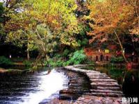 小車(chē)河城市濕地公園