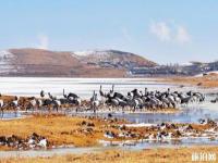 昭通大山包國(guó)家公園