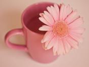 很順眼的女頭超級的洋氣且又溫柔 好看又低