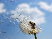 心動女嘉賓微信專屬頭像 滿滿氣質(zhì)又超心動的女頭合集