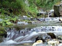 安慶蓮洞國家森林公園