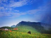 駝梁風景區(qū)