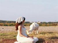 西寧結(jié)伴旅游策劃宜偌嫣