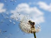 很順眼的女頭超級(jí)的洋氣且又溫柔 好看又低