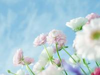 上海伴游電子商務(wù)有限公司